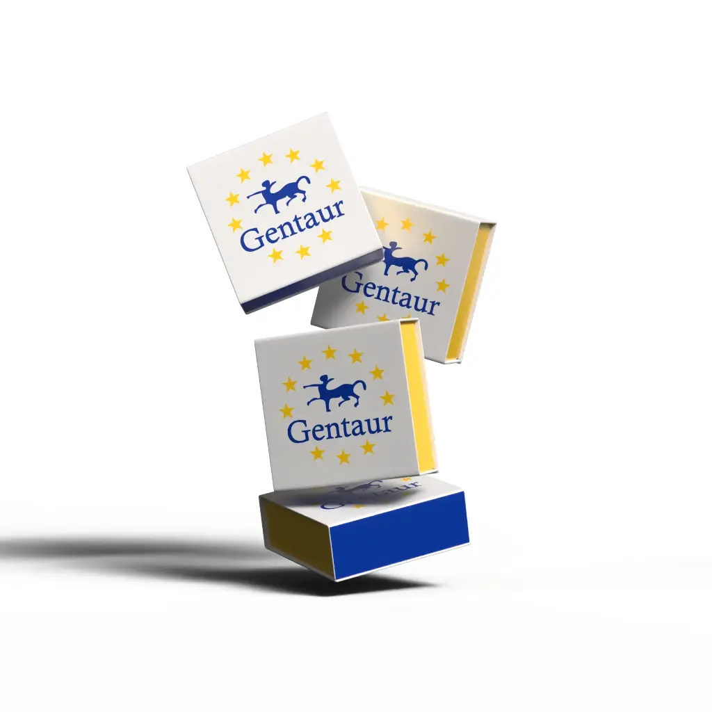 10×Capping Buffer GMP-grade-1 mL
